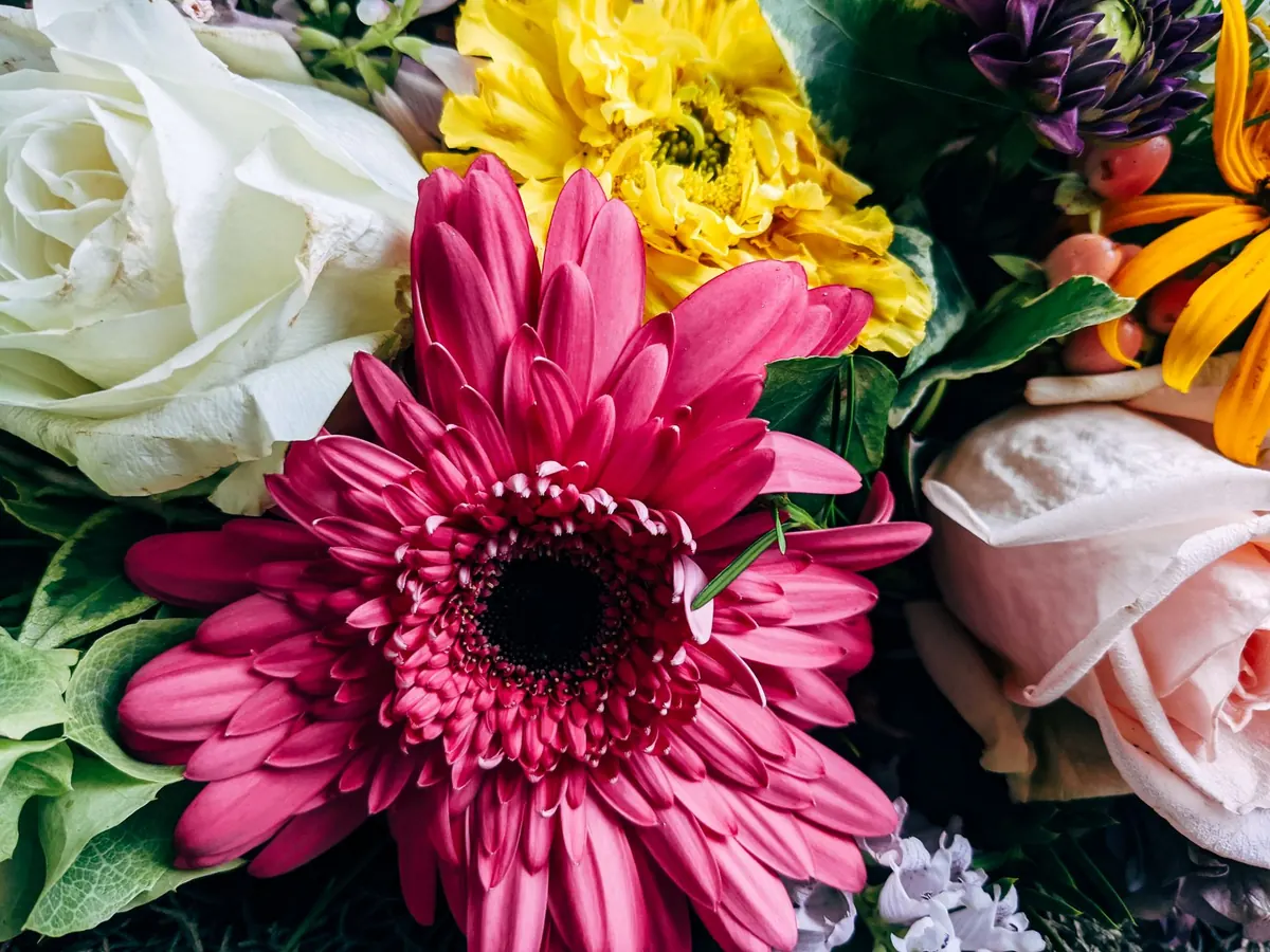 Beginner's Guide to Flower Meanings: What to Send for Birthdays, Sympathy and Romance